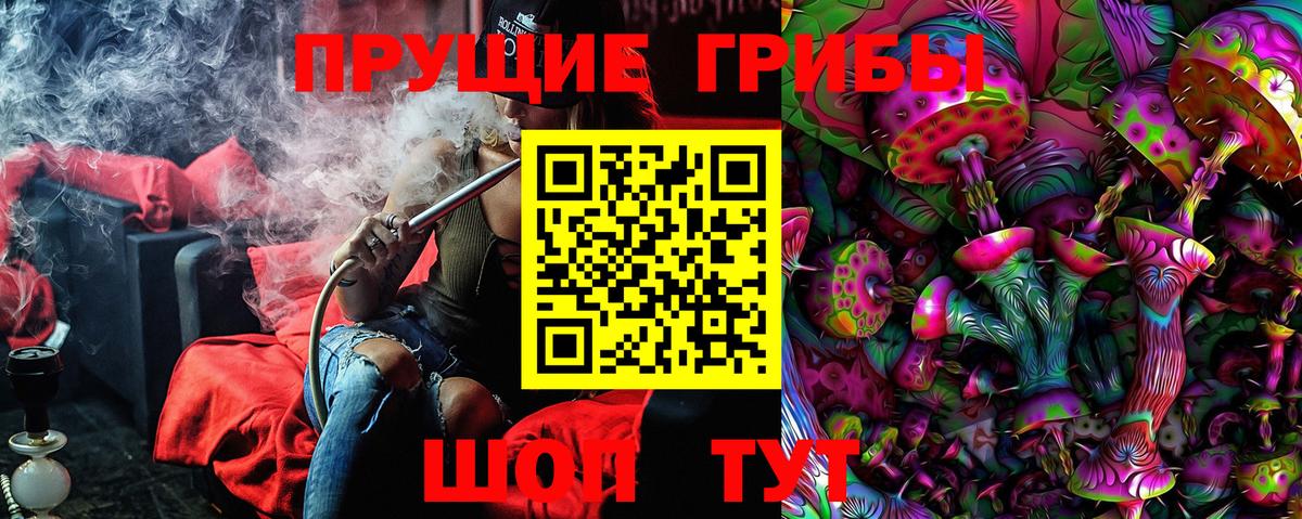 Галлюциногенные грибы Psilocybe Алексеевка