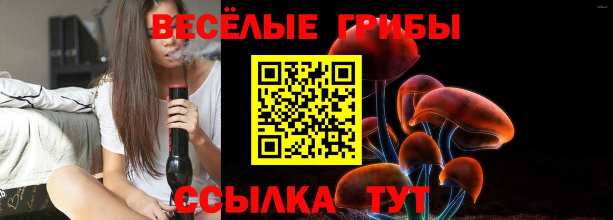 Галлюциногенные грибы мицелий  Вход с VPN  Алексеевка 