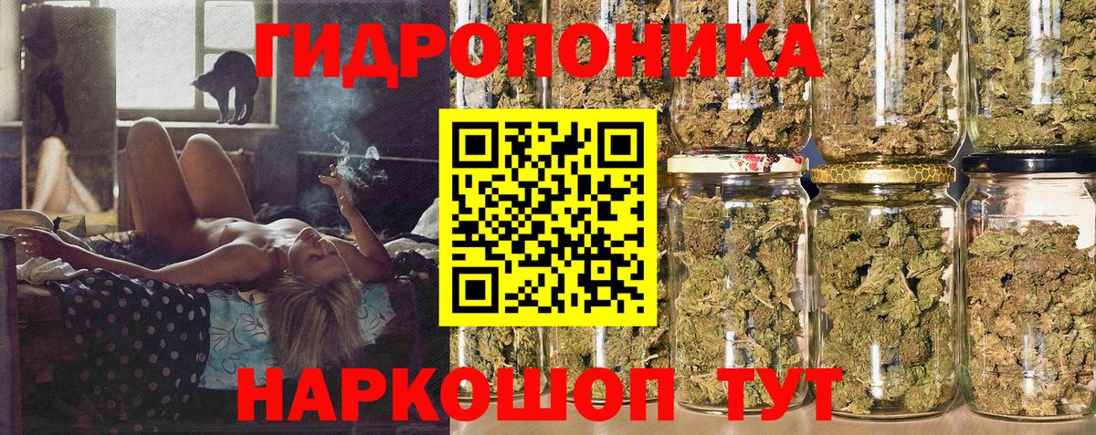 Шишки марихуана AK-47 Алексеевка